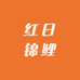 红日锦鲤