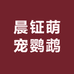 晨钲萌宠鹦鹉