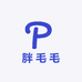 胖毛毛大码女装