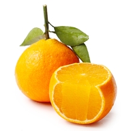 绚芝源资本专卖店