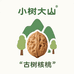 小树大山古树核桃