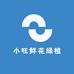 小旺鲜花绿植