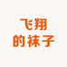 飞翔的袜子