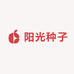 阳光种子批发
