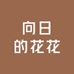 向日的花花