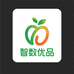 智数优品精选