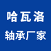 哈瓦洛进口轴承厂家 原装 油封 可开专票