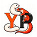 YP爬宠