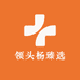 领头杨臻选