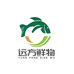 远方鲜物挪威三文鱼
