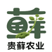 贵藓农业