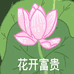 五朵金花的女装店