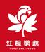 红枫鹦鹉优选店