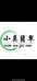 小莫翡翠甄选