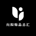 向阳饰品总汇