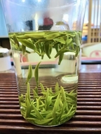 古柳茶行