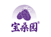 宝桑园官方旗舰店