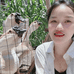 小叶子狮头鹅