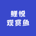 鲤悦观赏鱼