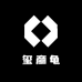 玺彦观赏龟
