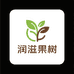 润滋果树苗木专营店