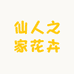 仙人之家花卉