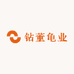 钻董龟业