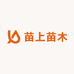 苗上苗木