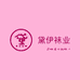 黛伊袜业