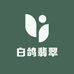 白鸽翡翠