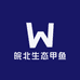 皖北生态甲鱼