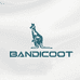 BANDICOOT 商务风