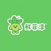 鲜菲淳绿植旗舰店