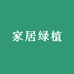 春天的家居绿植