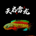 天启雷龙水族馆