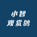 小智观赏鸽生鲜