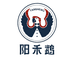 阳禾鹦鹉
