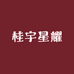 桂宇星耀