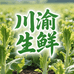 智哥生鲜速达