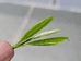 河源客家名茶馆