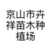 卉祥兰花