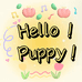 HelloPuppy宠物定制