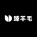 臻羊毛男装馆