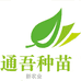 通吾蔬果种苗基地
