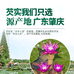 小妹汤料