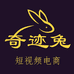 奇迹兔知识店