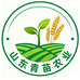山东青苗农业