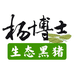 杨博士生态散养黑猪
