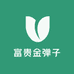 富贵金弹子的小店
