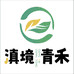 滇境青禾